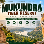 Mukundra-Tiger-Reserve-2026-Complete-Safari-Wildlife-Travel-Guide