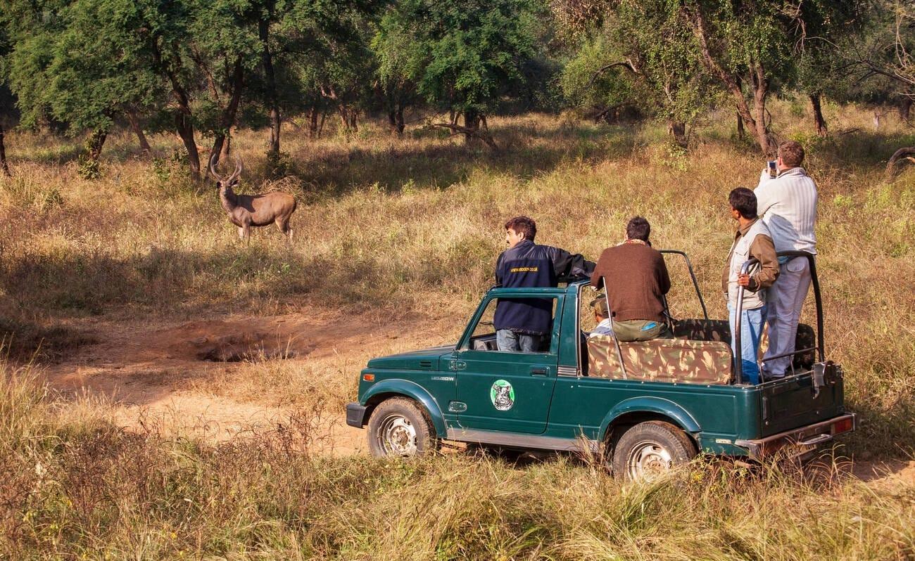 mukundratigerreserve